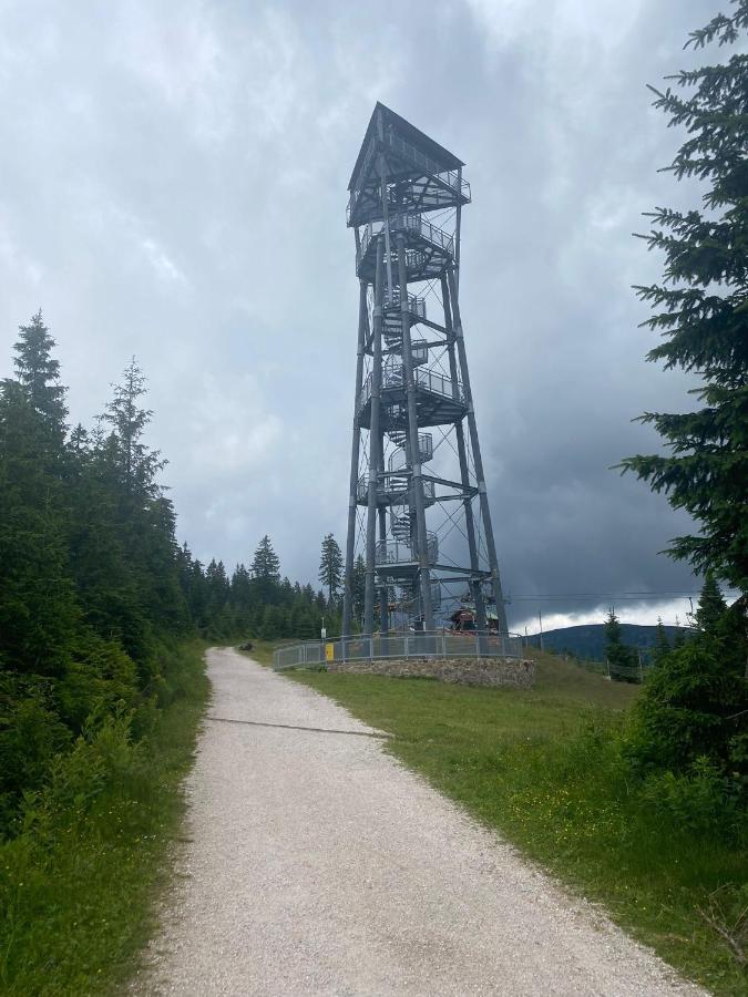 Vila 66 - Cista V Krkonosich チェルニー・ドゥール エクステリア 写真